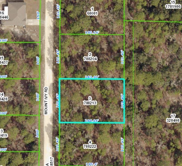 15016 Mt Ivy Road Weeki Wachee, FL 34614 - Photo 1 of 1 Gallery Image 1