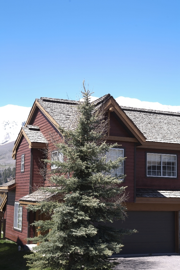 302 Adams Ranch Road, Unit 12 Mountain Village, CO 81435 - Photo 12 of 12 Outside 2