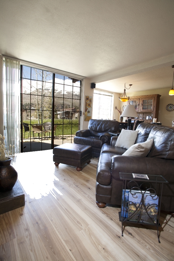 302 Adams Ranch Road, Unit 12 Mountain Village, CO 81435 - Photo 3 of 12 LivingRoomVertWithWindowpsd