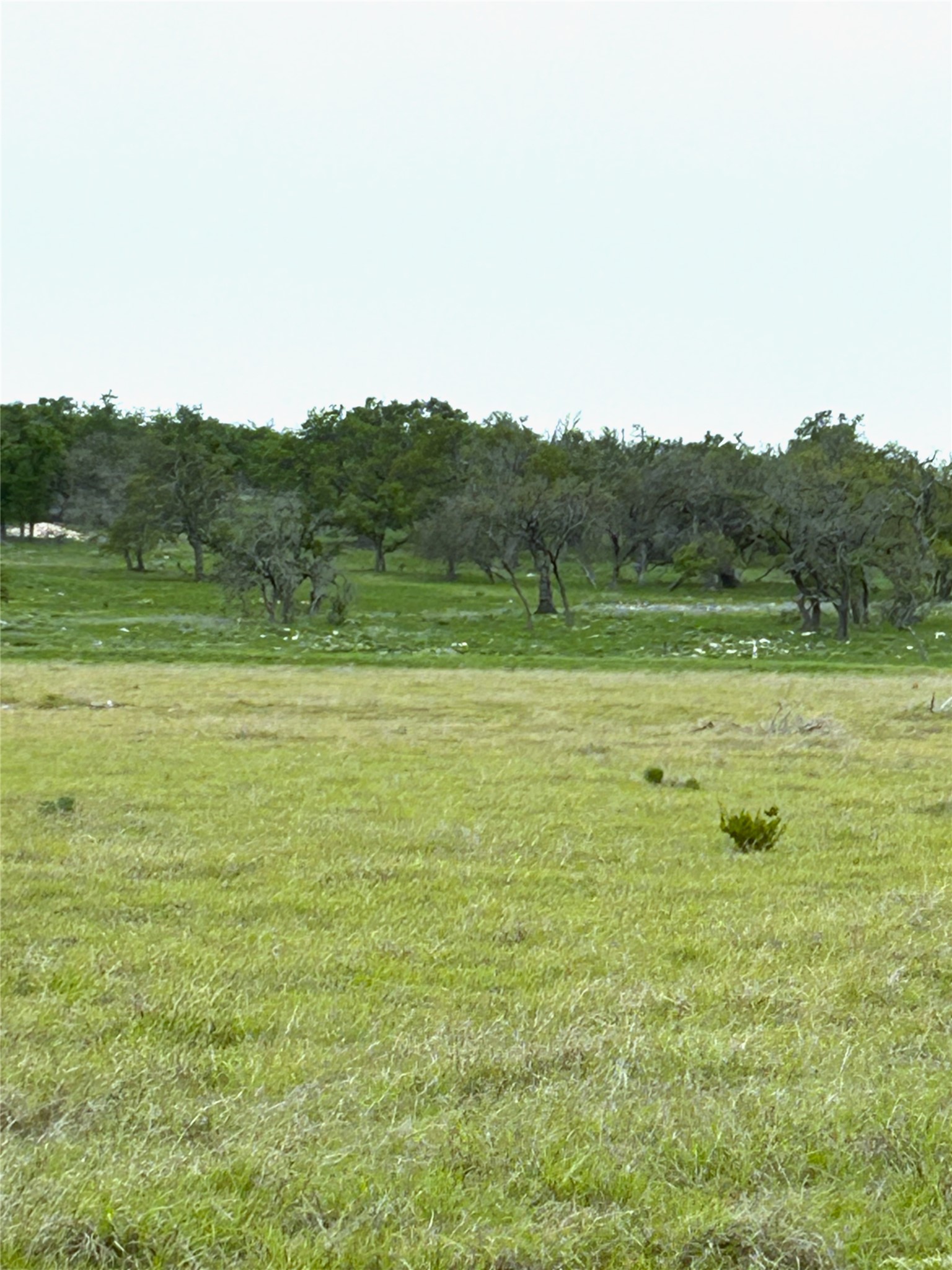 10 Ranch Ed 783 Roads Harper, TX 78631 - Photo 2 of 6 View of grassy yard with a rural view