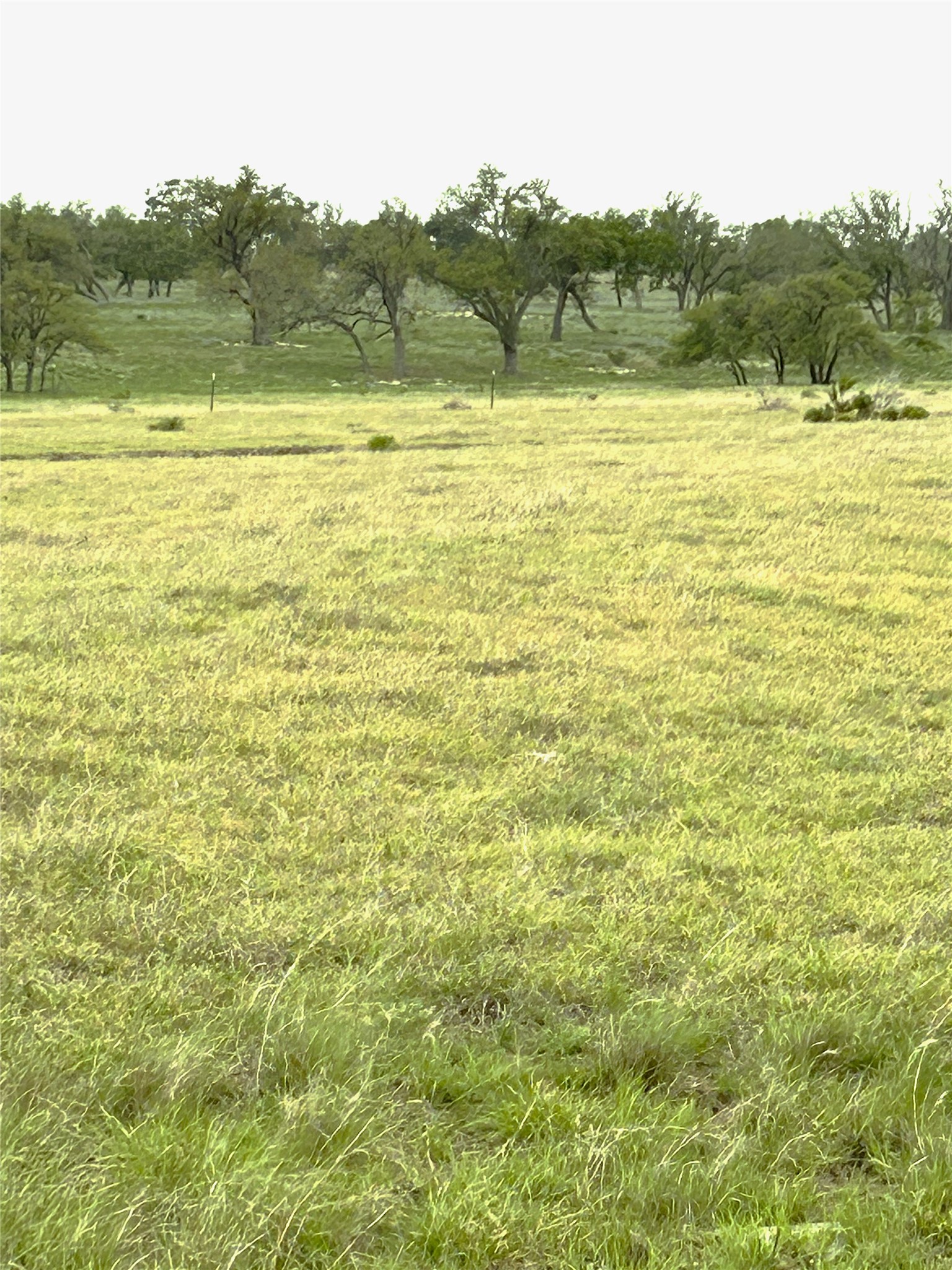 10 Ranch Ed 783 Roads Harper, TX 78631 - Photo 3 of 6 View of yard featuring a view of countryside