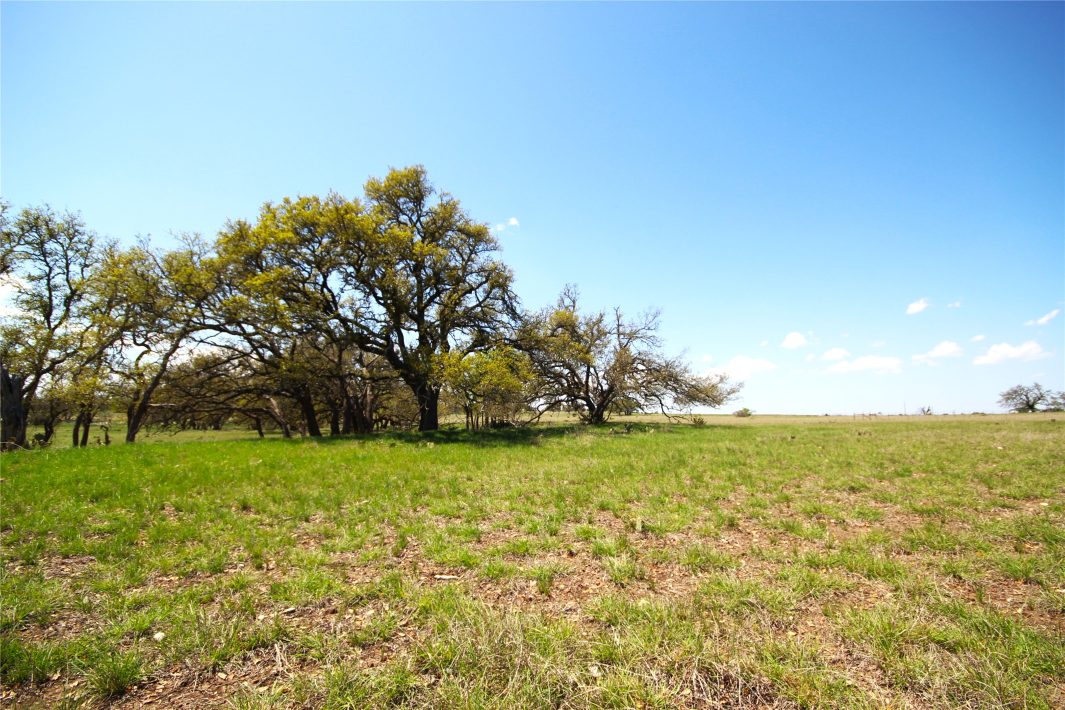 10 Ranch Ed 783 Roads Harper, TX 78631 - Photo 4 of 6 View of yard with a view of countryside