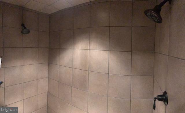 3080 Old Elk Neck Road Elkton, MD 21921 - Photo 11 of 20 Bath (Master) Shower