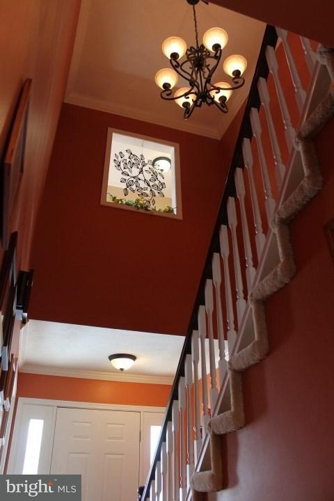 135 Timber Lane Hanover, PA 17331 - Photo 7 of 33 Gallery Image 7