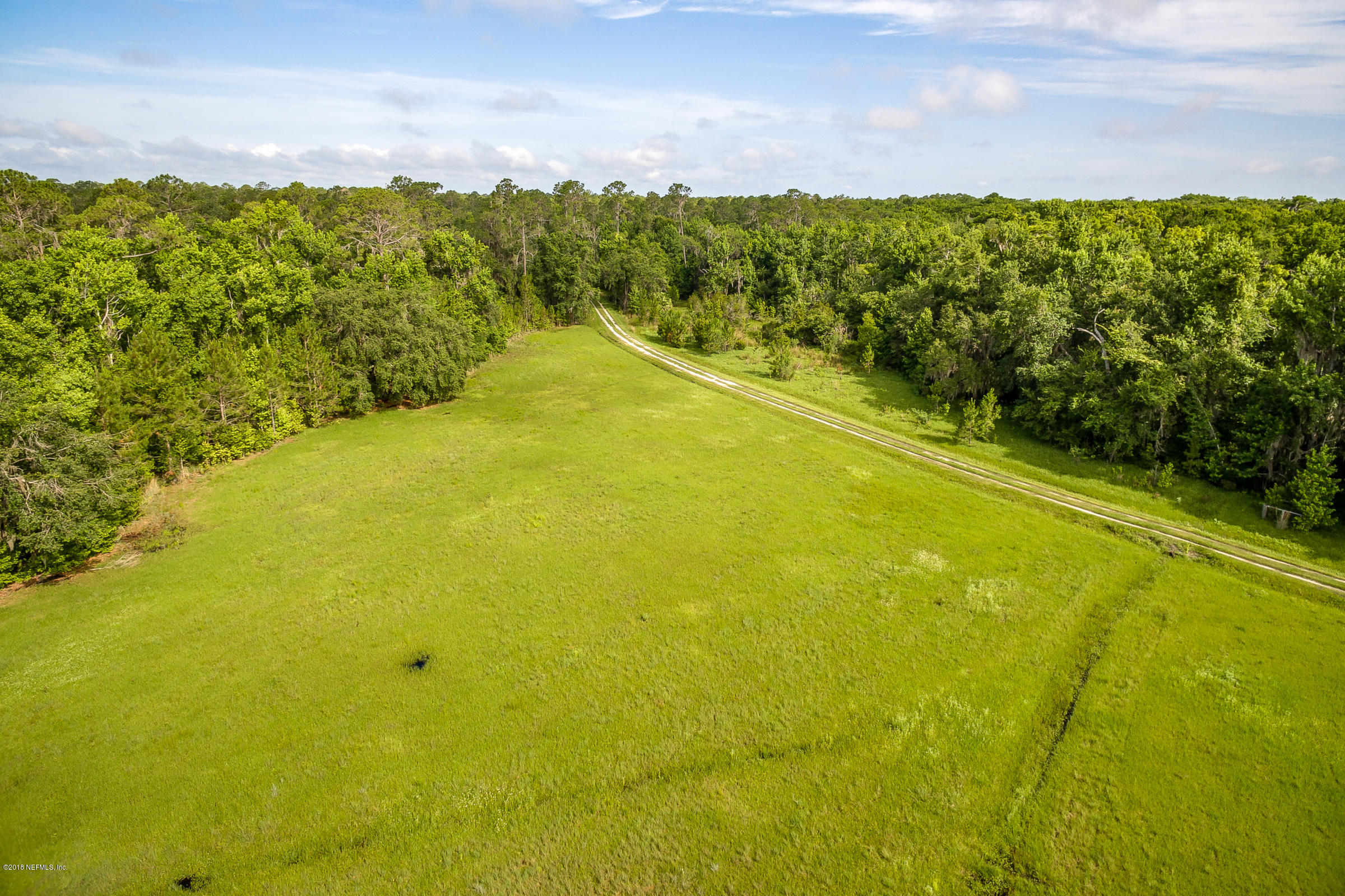 193 Bayard Road Green Cove Springs, FL 32043 - Photo 2 of 28 Cleared_Field_View_3