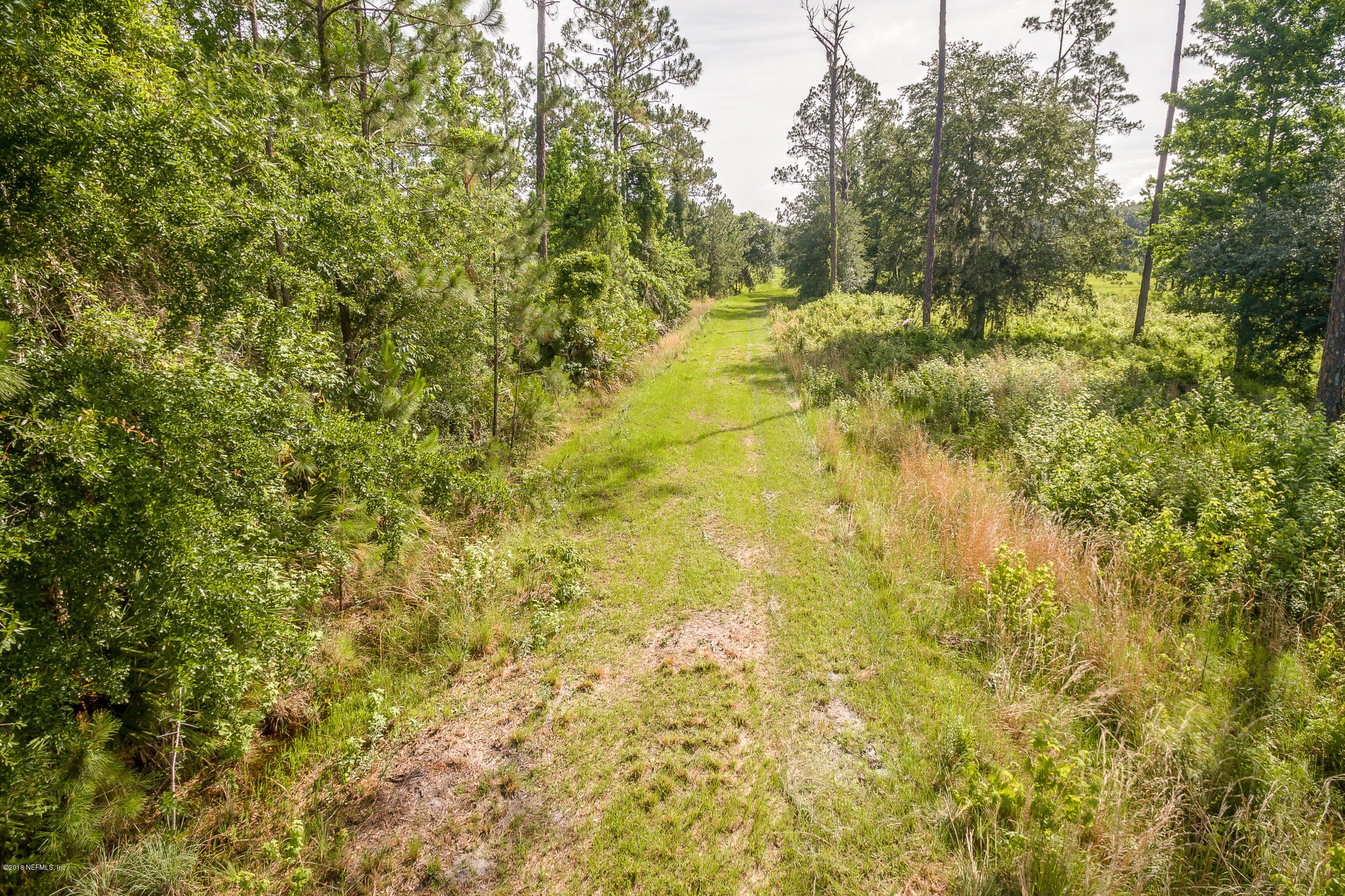 193 Bayard Road Green Cove Springs, FL 32043 - Photo 12 of 28 Path_View_3