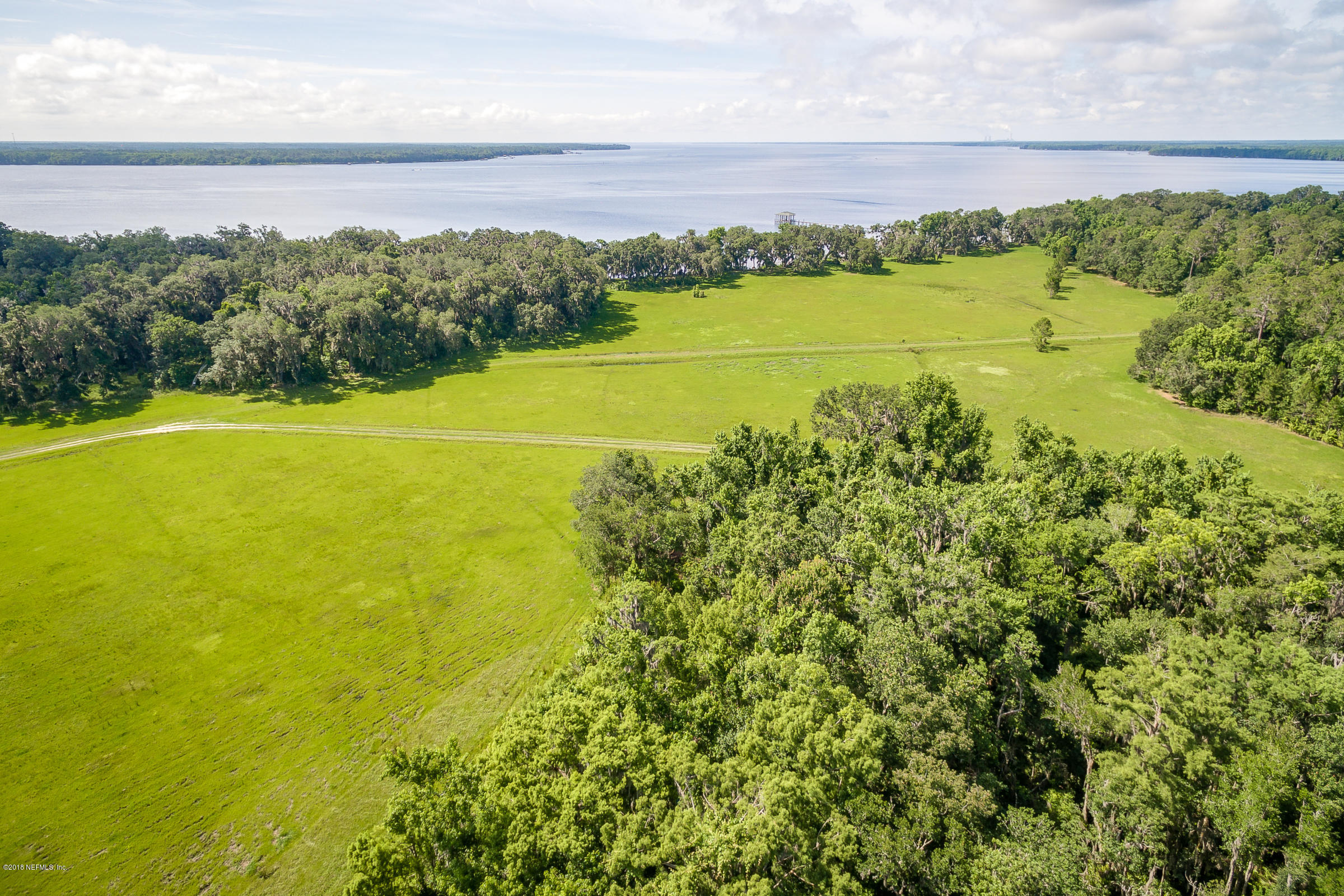 193 Bayard Road Green Cove Springs, FL 32043 - Photo 14 of 28 Cleared_Field_View_6