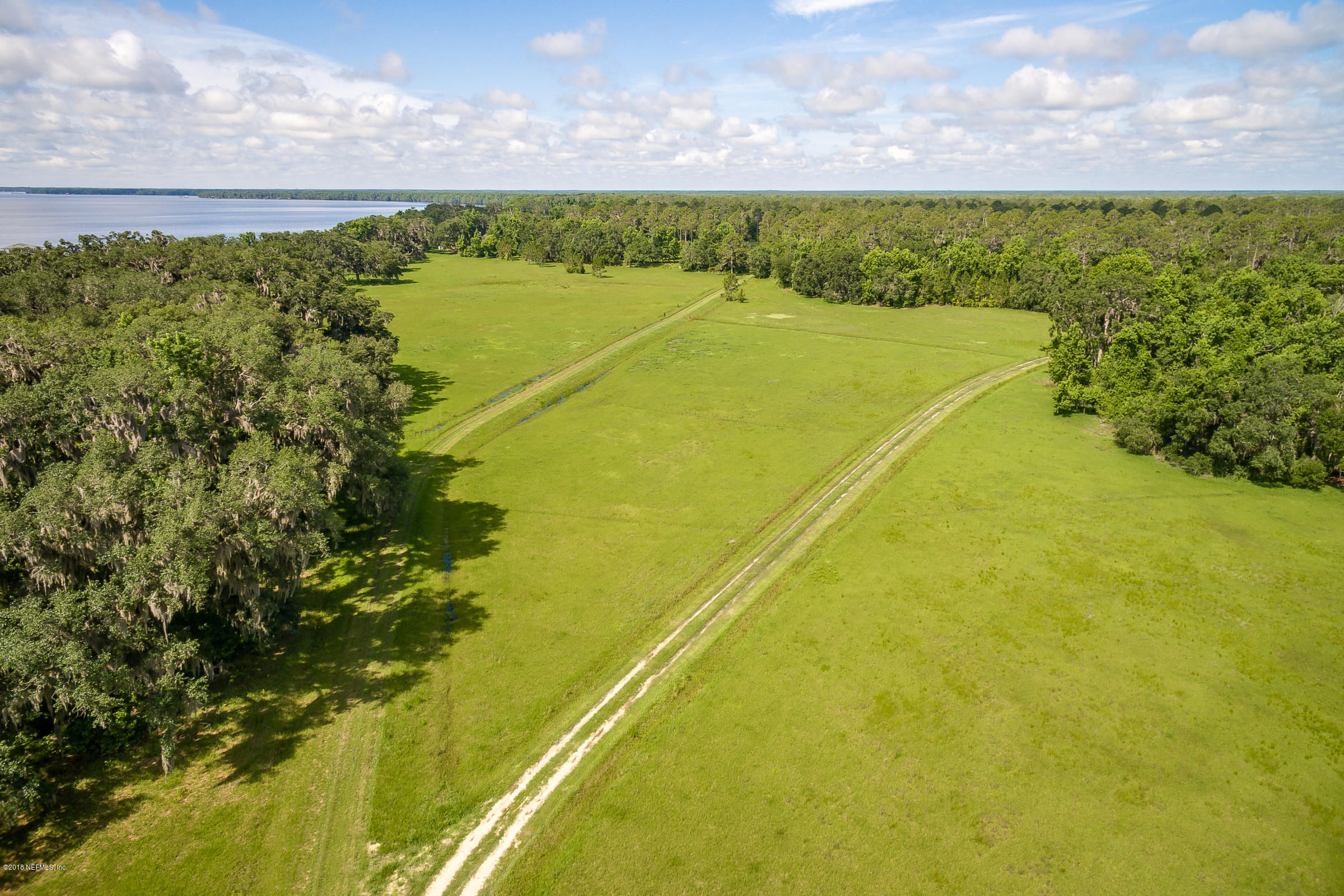 193 Bayard Road Green Cove Springs, FL 32043 - Photo 16 of 28 Cleared_Field_View_8