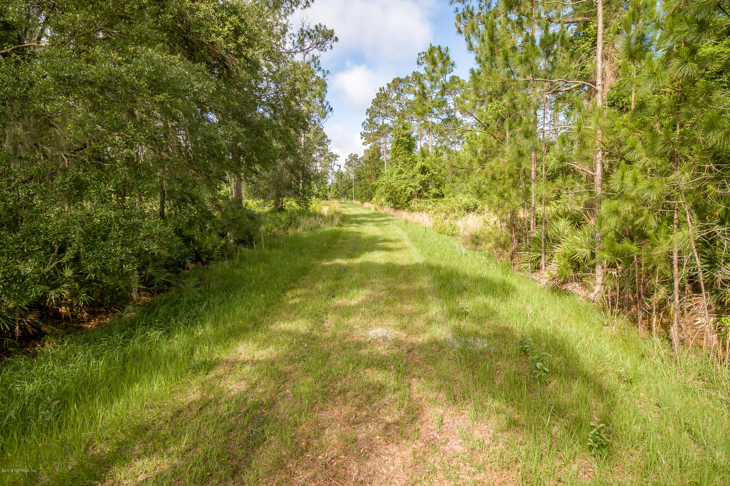 193 Bayard Road Green Cove Springs, FL 32043 - Photo 19 of 28 Path_View_1