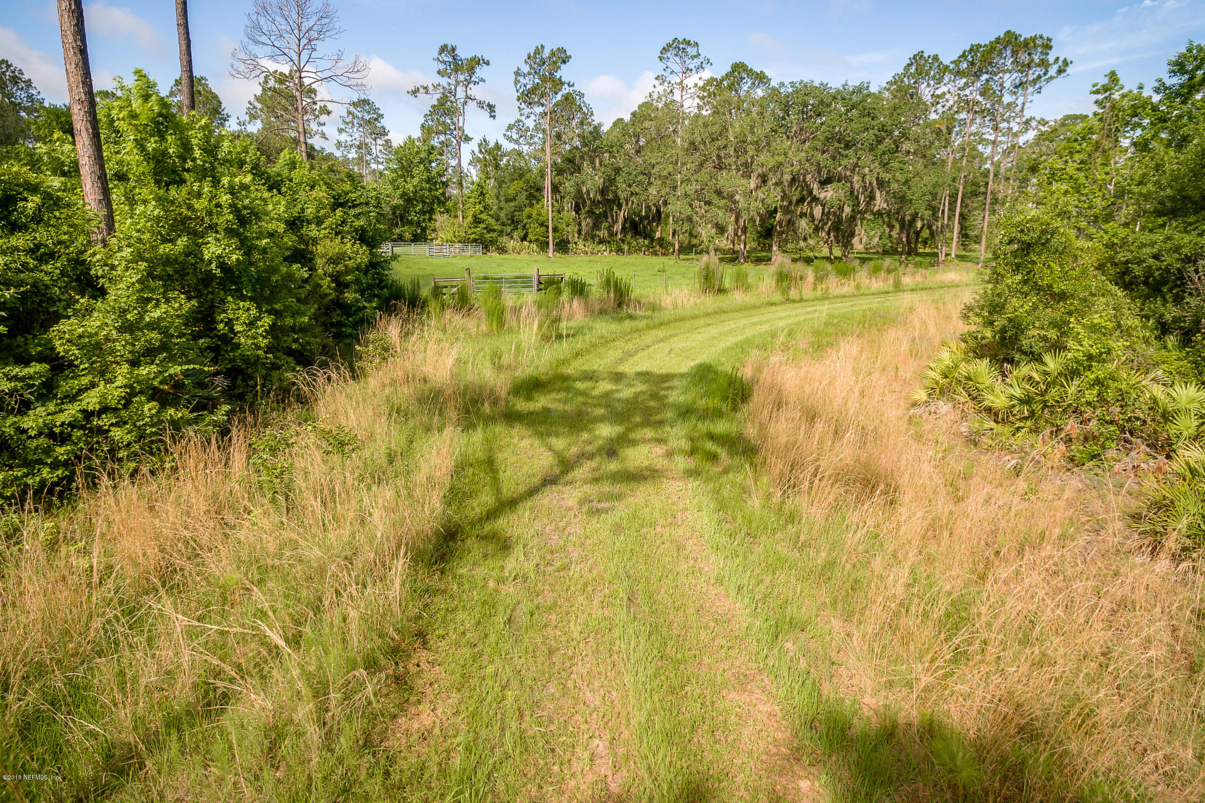 193 Bayard Road Green Cove Springs, FL 32043 - Photo 20 of 28 Path_View_2