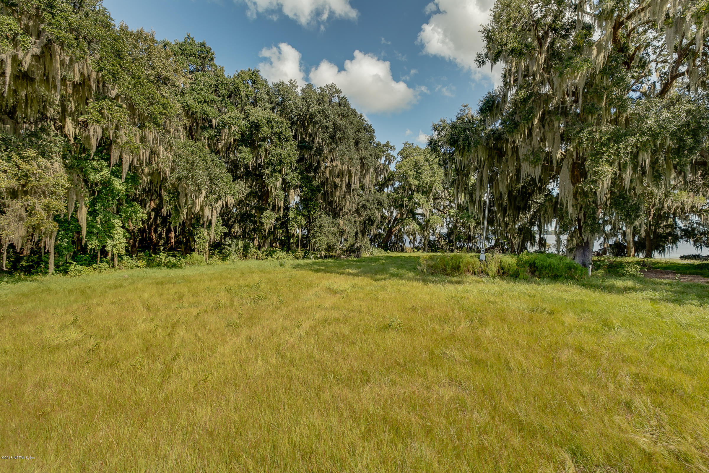 193 Bayard Road Green Cove Springs, FL 32043 - Photo 21 of 28 Riverfront_View_1