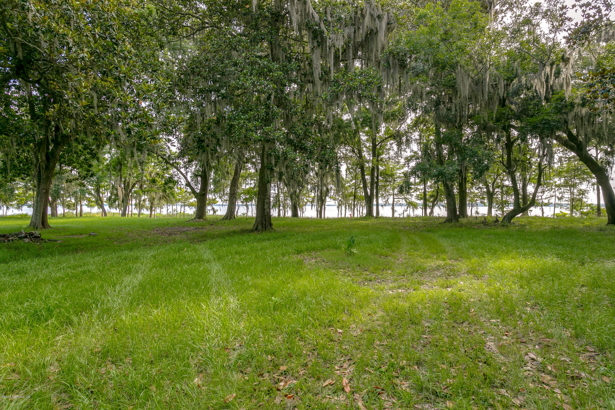 193 Bayard Road Green Cove Springs, FL 32043 - Photo 22 of 28 Riverfront_View_2