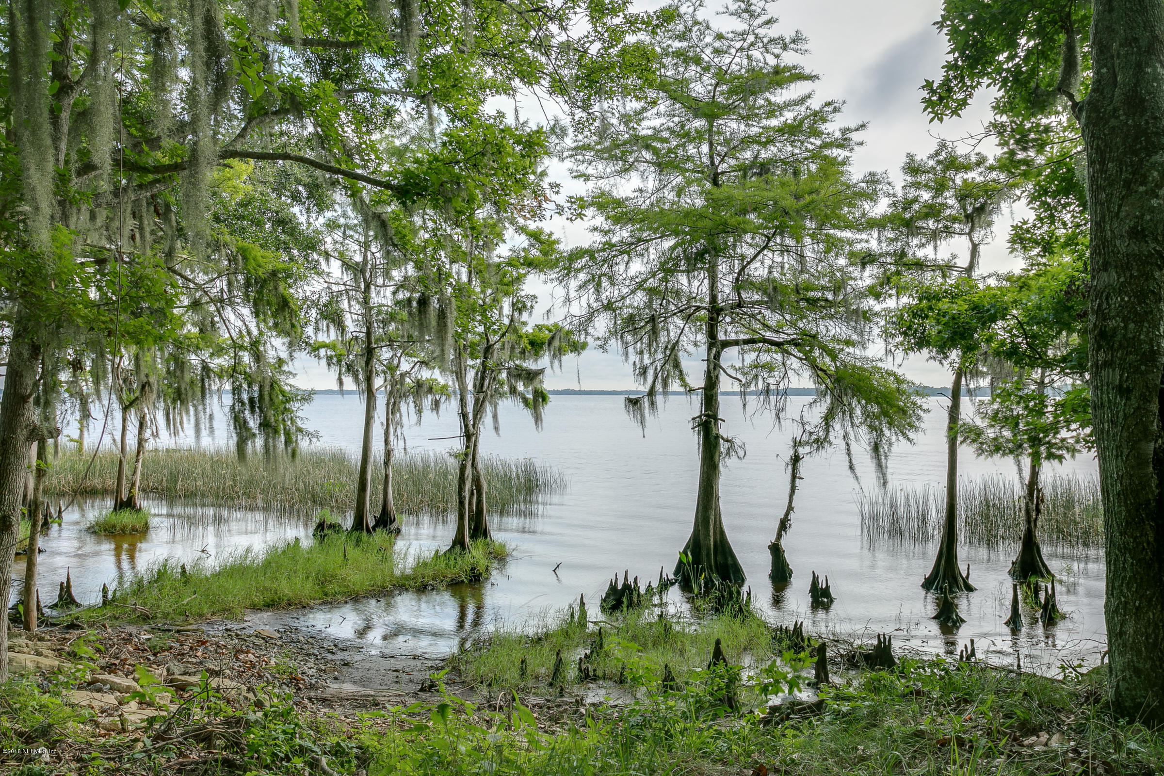 193 Bayard Road Green Cove Springs, FL 32043 - Photo 23 of 28 Riverfront_View_3