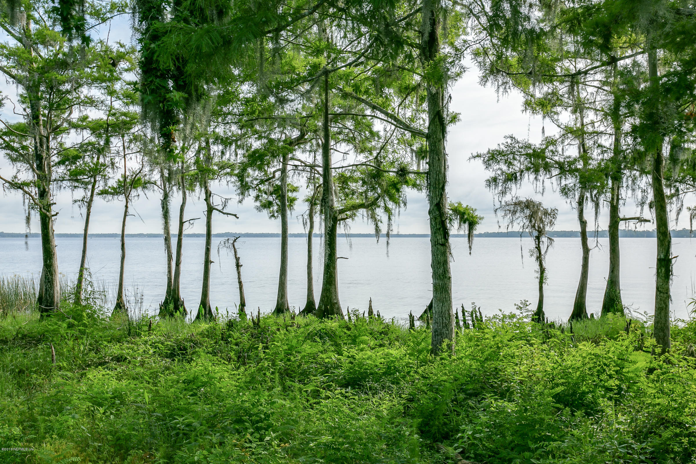 193 Bayard Road Green Cove Springs, FL 32043 - Photo 24 of 28 Riverfront_View_4
