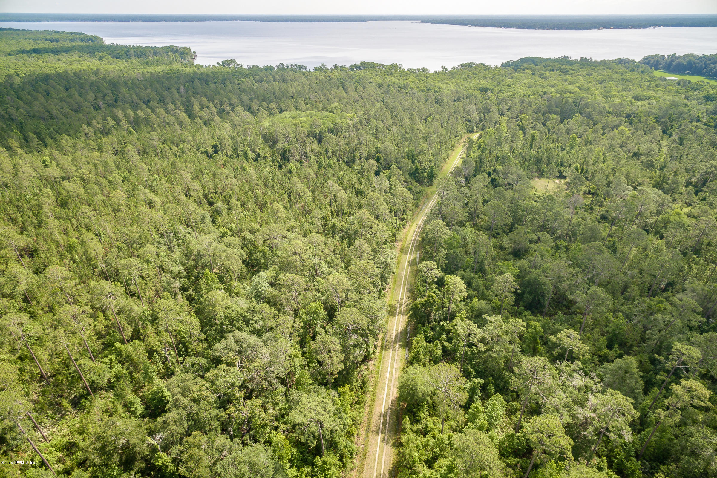193 Bayard Road Green Cove Springs, FL 32043 - Photo 25 of 28 Wooded_Area_View_1