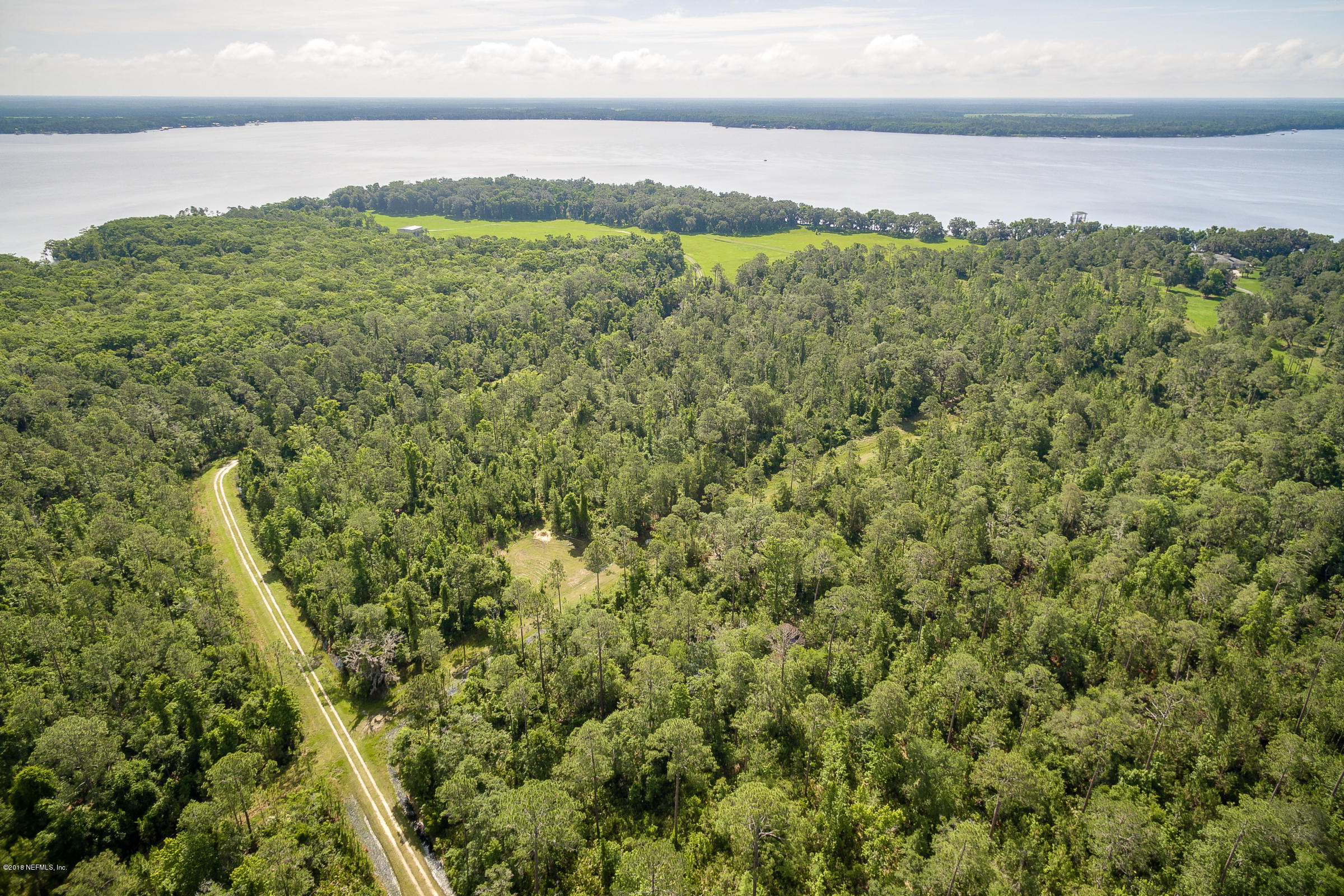 193 Bayard Road Green Cove Springs, FL 32043 - Photo 26 of 28 Wooded_Area_View_2