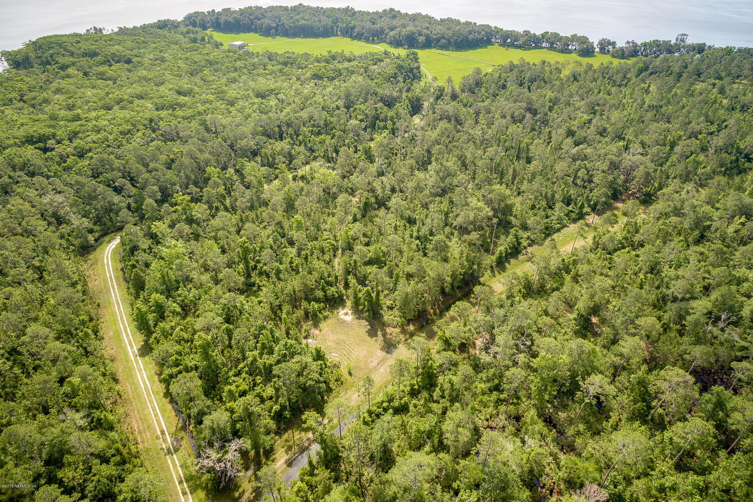 193 Bayard Road Green Cove Springs, FL 32043 - Photo 27 of 28 Wooded_Area_View_3