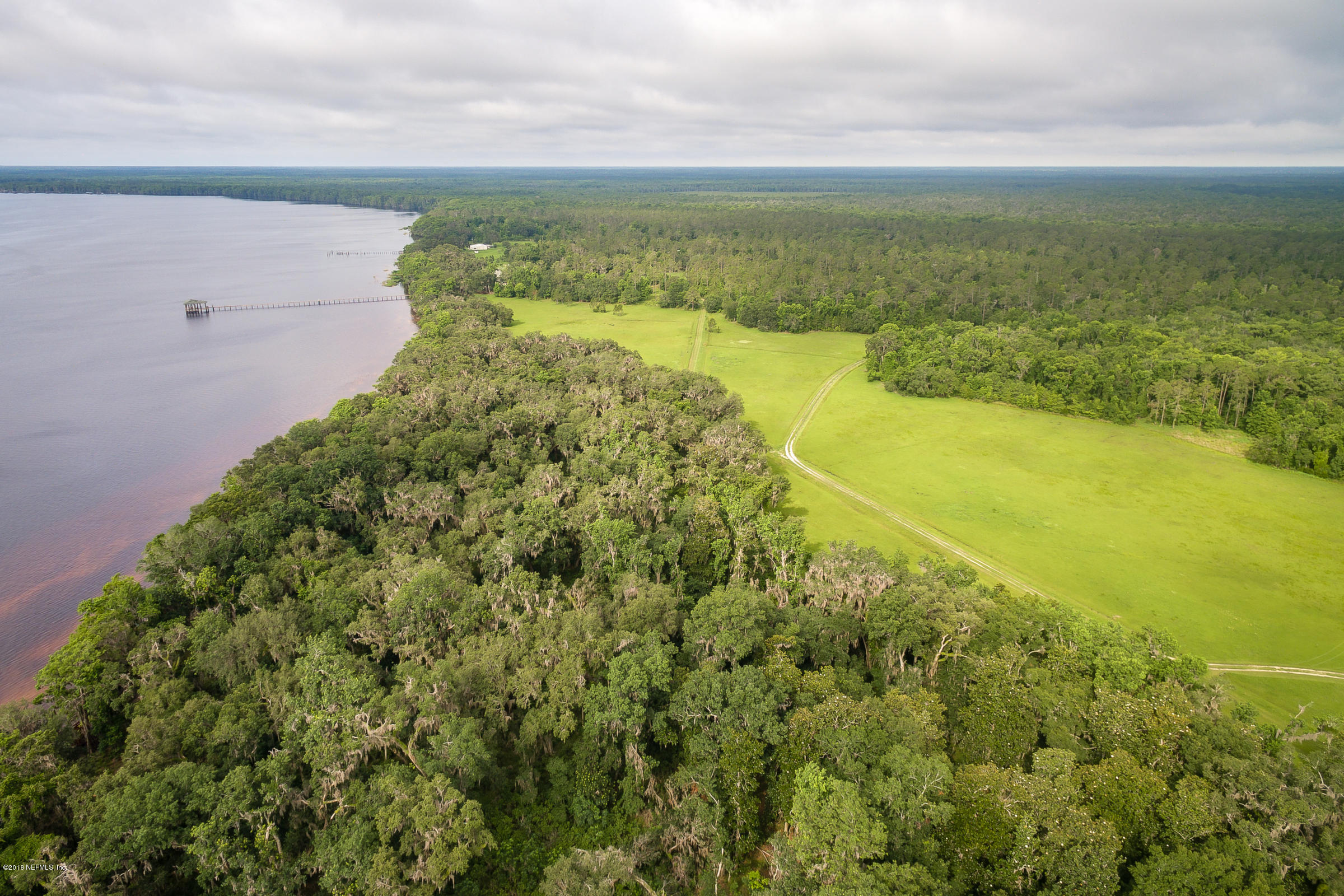 193 Bayard Road Green Cove Springs, FL 32043 - Photo 28 of 28 Wooded_Area_View_4