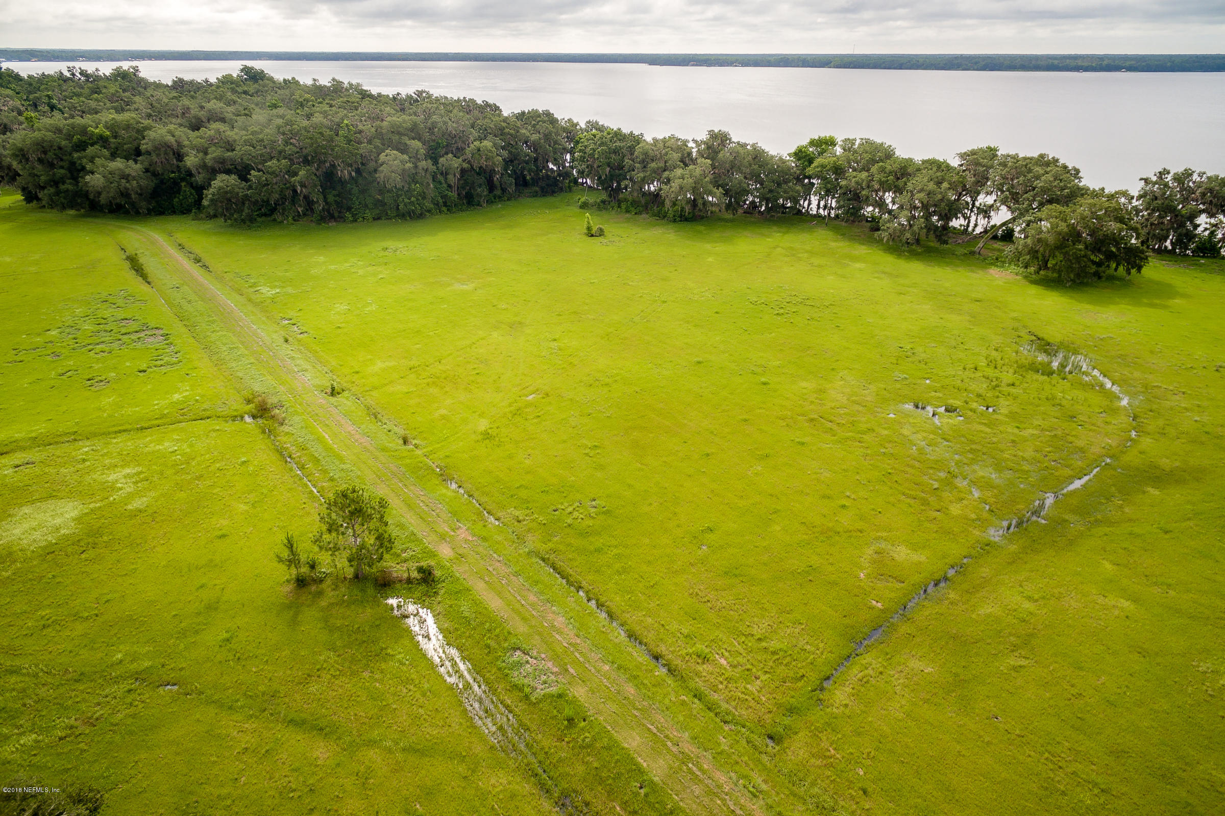 193 Bayard Road Green Cove Springs, FL 32043 - Photo 4 of 28 East_Field_View_2