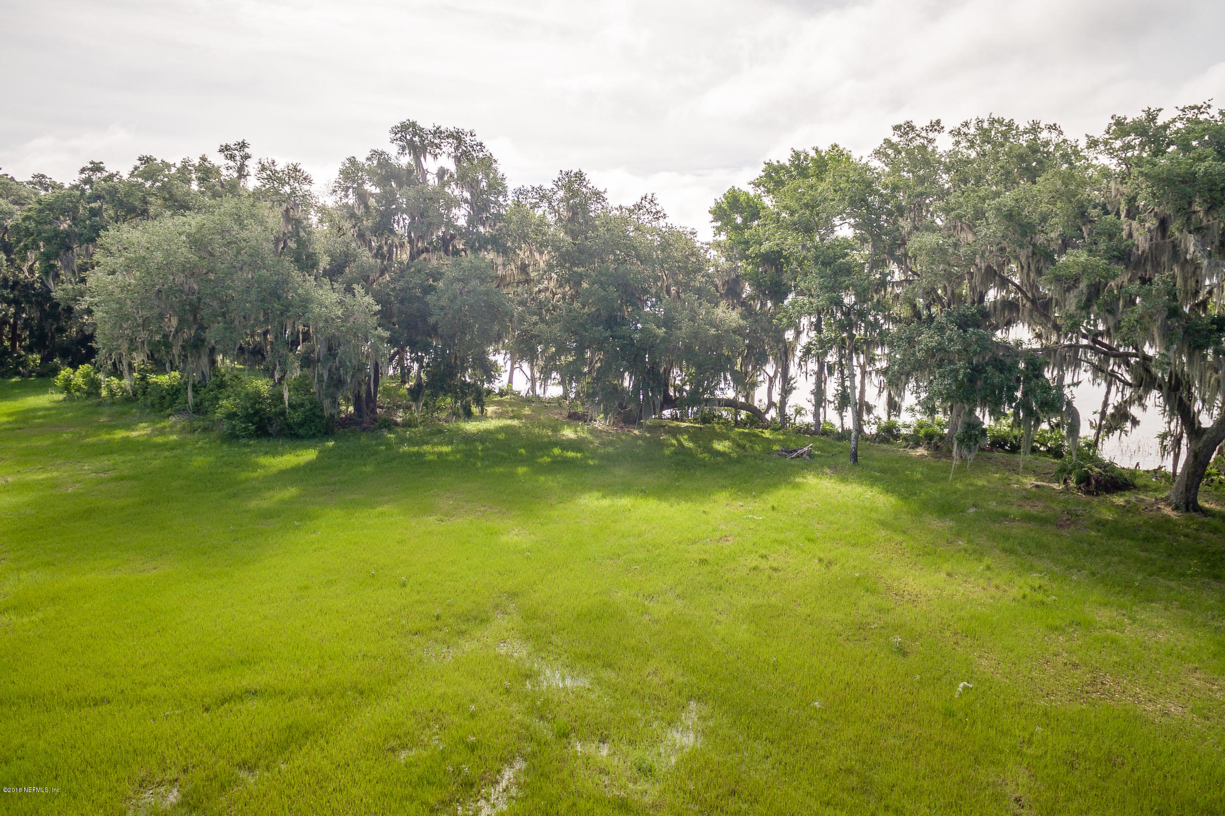 193 Bayard Road Green Cove Springs, FL 32043 - Photo 5 of 28 East_Field_View_4
