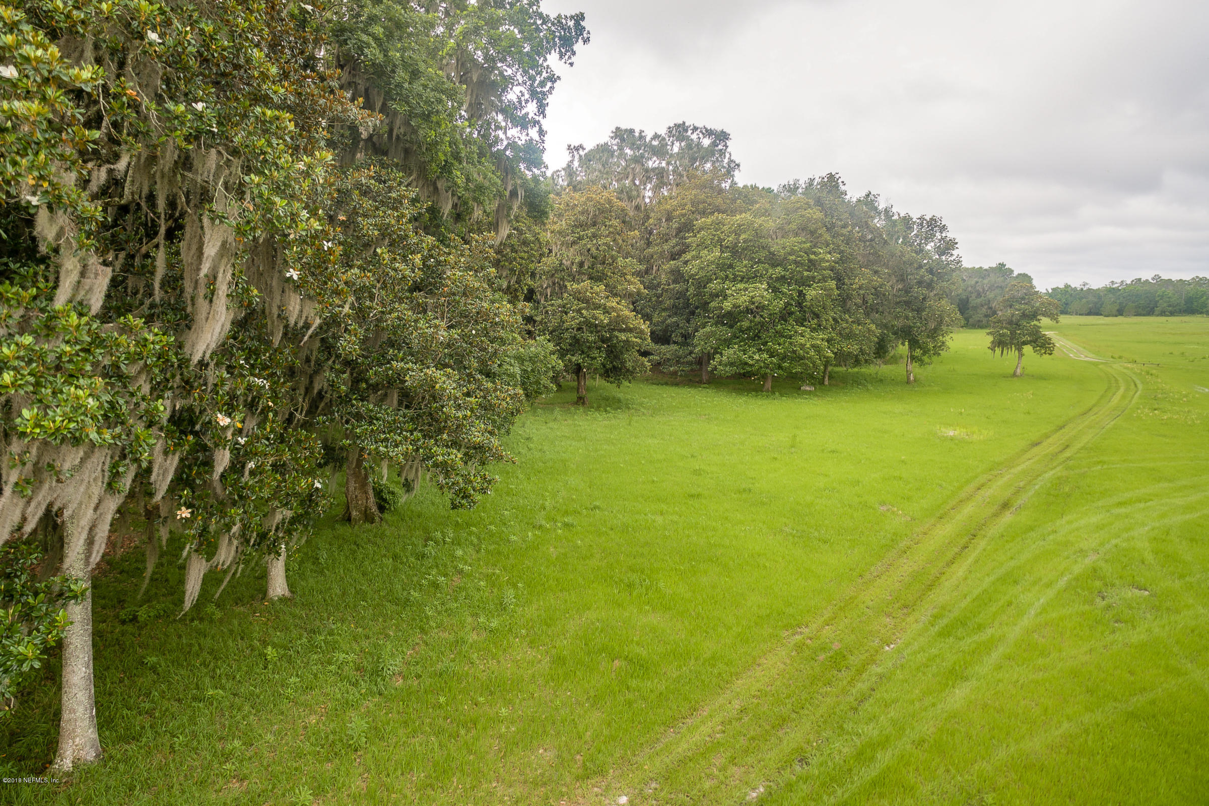 193 Bayard Road Green Cove Springs, FL 32043 - Photo 8 of 28 North_Field_View_3