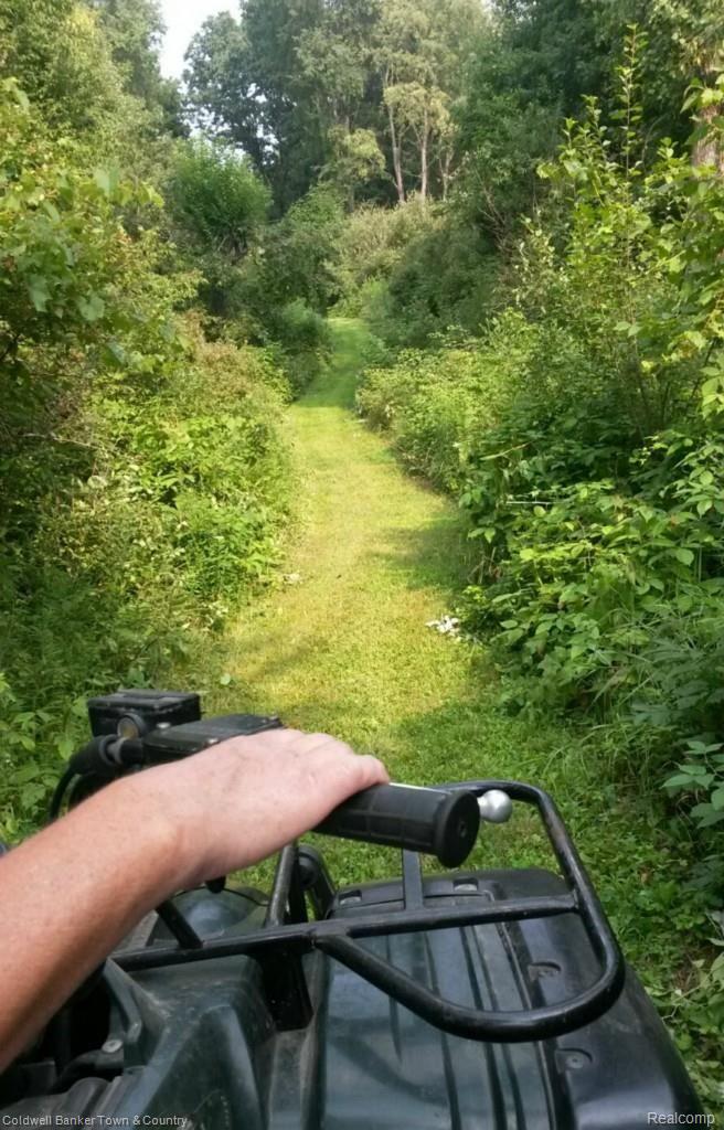 6255 North Owosso Road Fowlerville, MI 48836 - Photo 29 of 31 Trails for Nature Walks or yard machine rides
