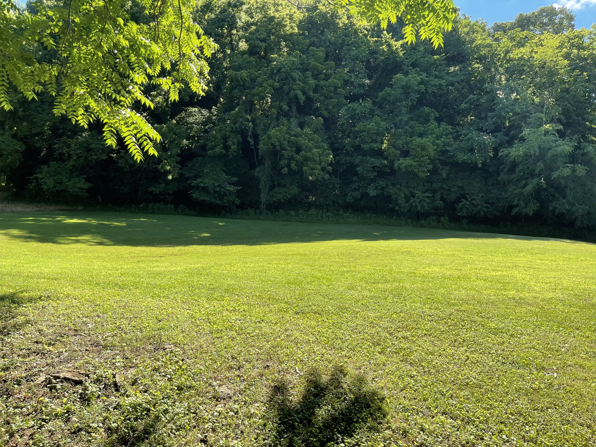 1102 Garner Hollow Road Pulaski, TN 38478 - Photo 11 of 41