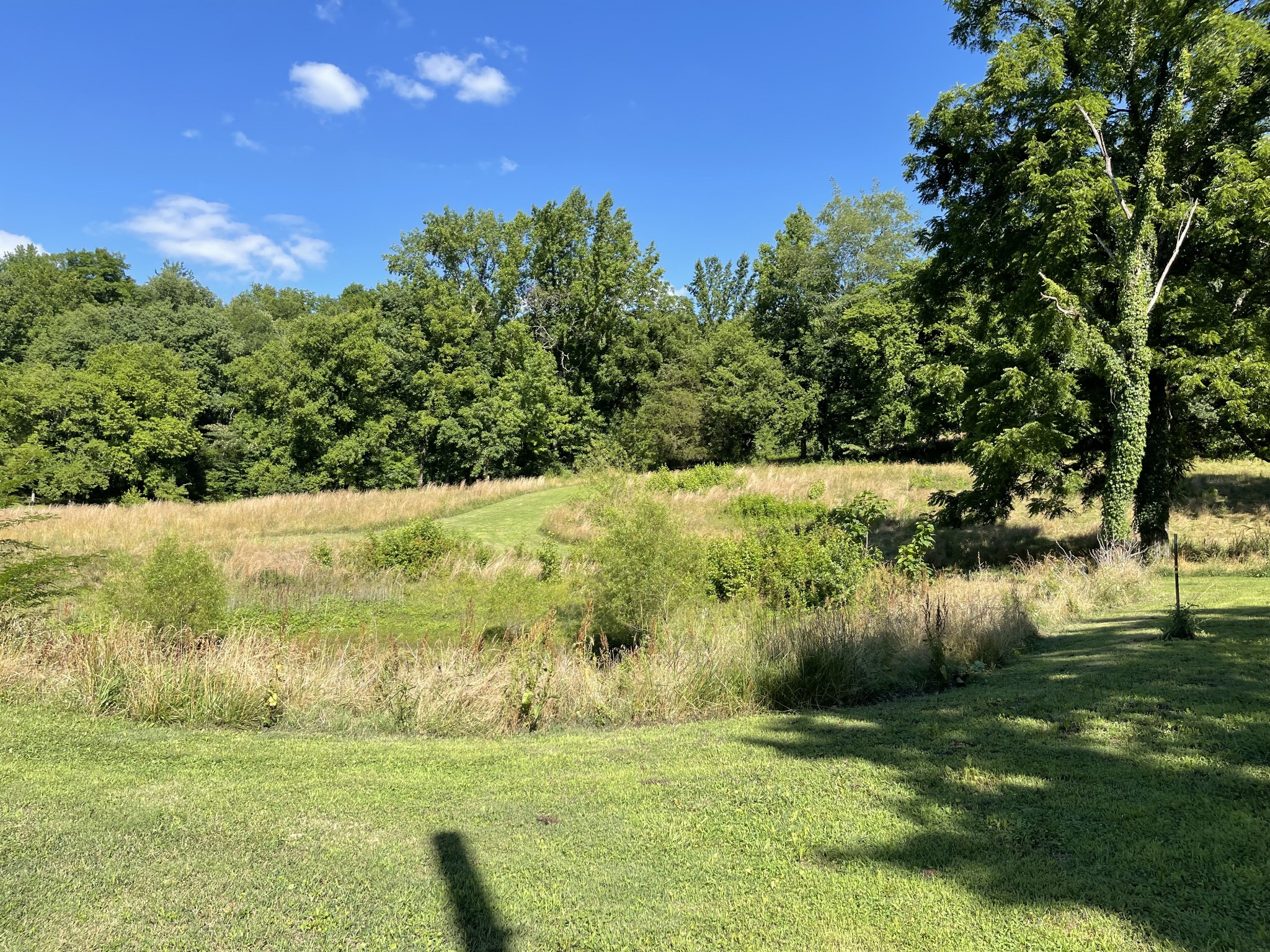 1102 Garner Hollow Road Pulaski, TN 38478 - Photo 14 of 41