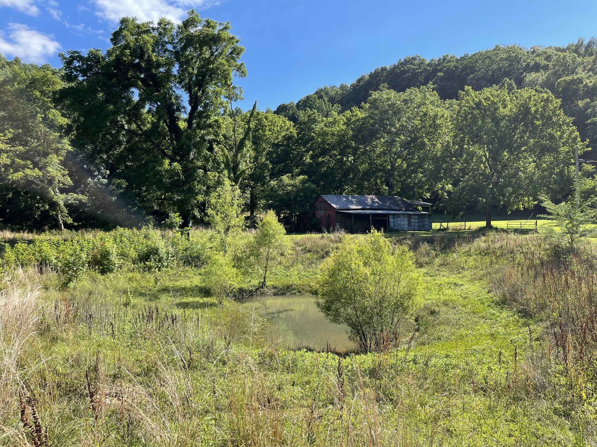 1102 Garner Hollow Road Pulaski, TN 38478 - Photo 21 of 41