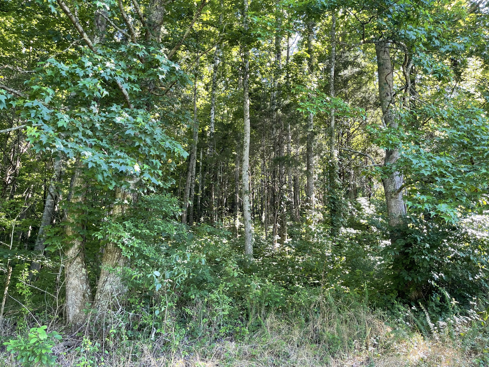 1102 Garner Hollow Road Pulaski, TN 38478 - Photo 27 of 41