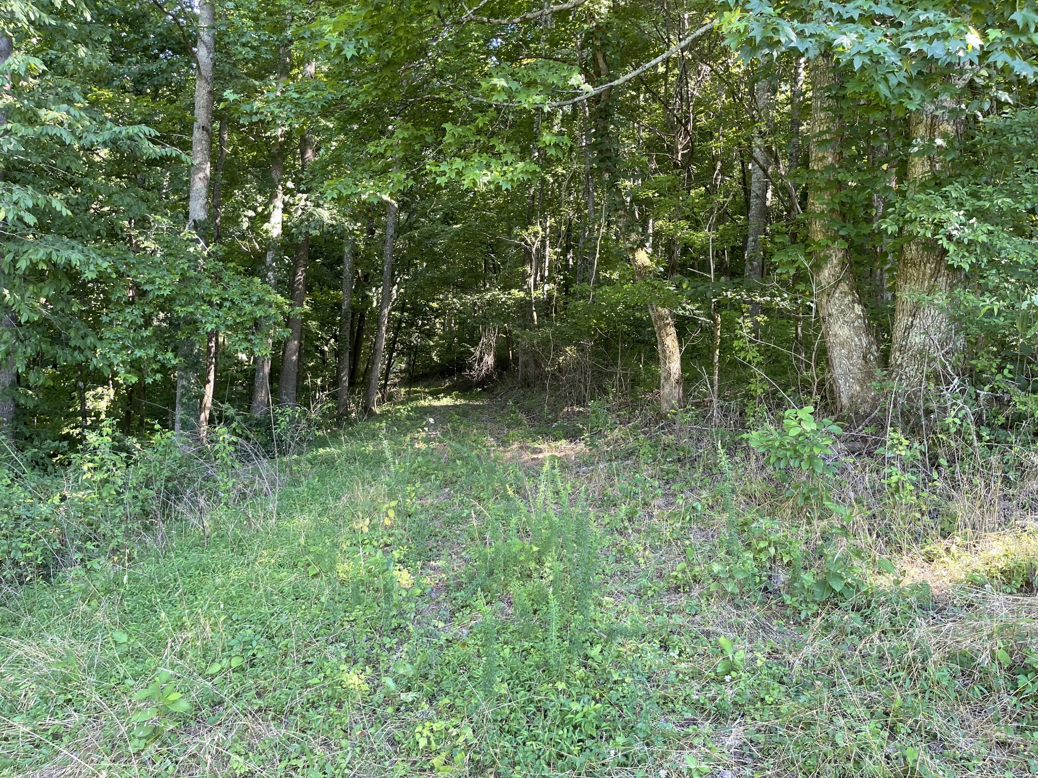 1102 Garner Hollow Road Pulaski, TN 38478 - Photo 28 of 41
