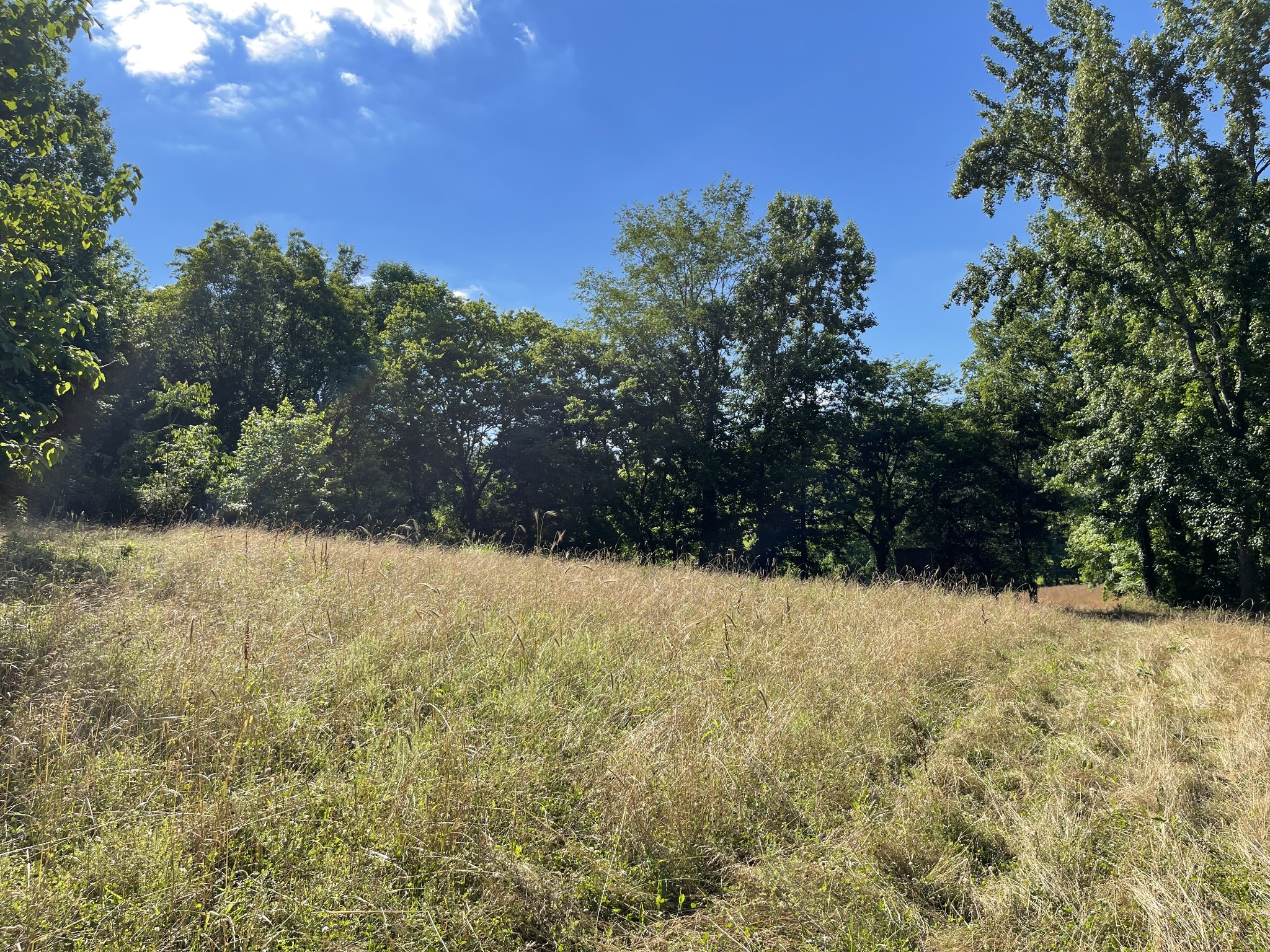 1102 Garner Hollow Road Pulaski, TN 38478 - Photo 31 of 41