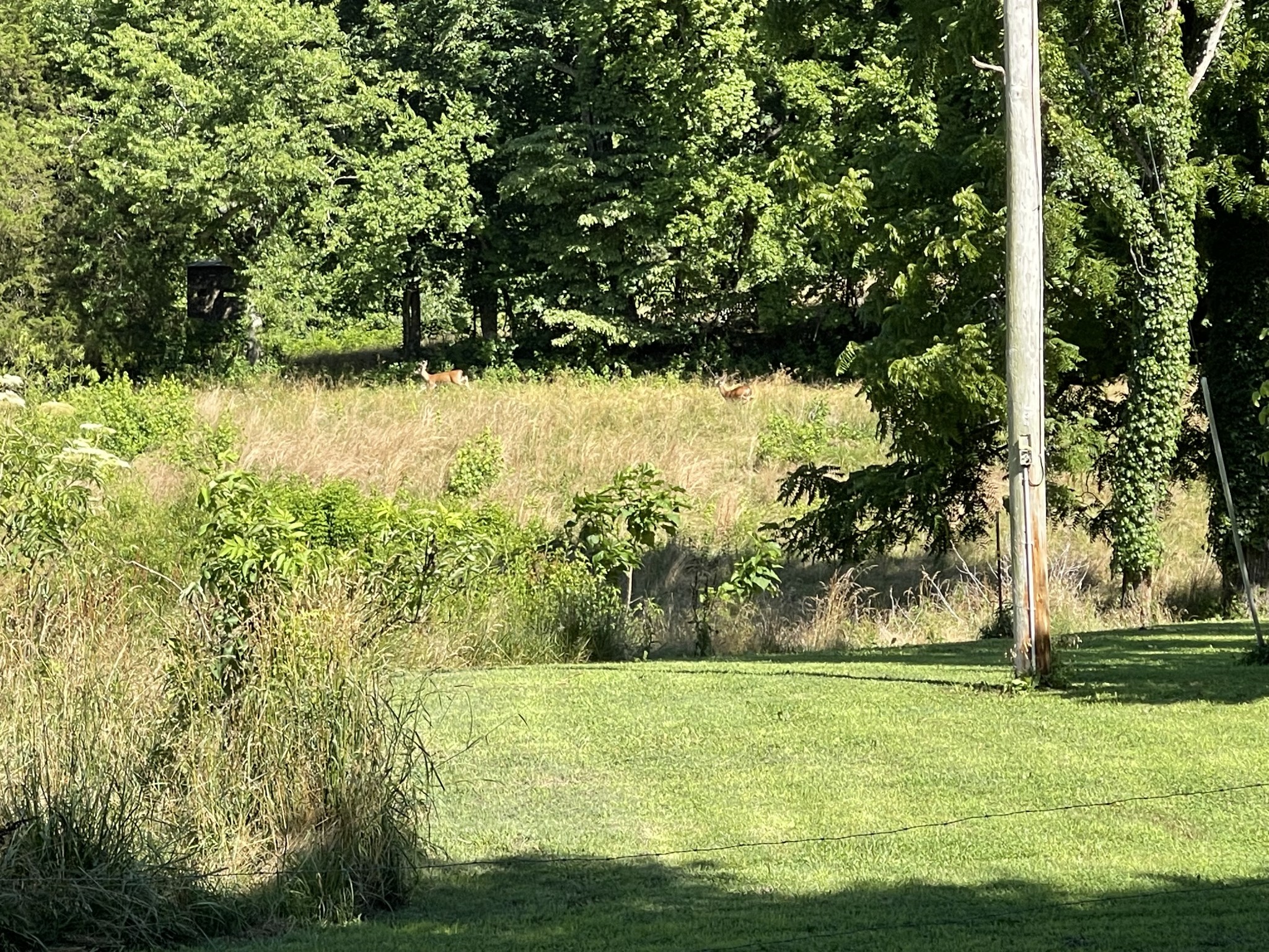 1102 Garner Hollow Road Pulaski, TN 38478 - Photo 37 of 41