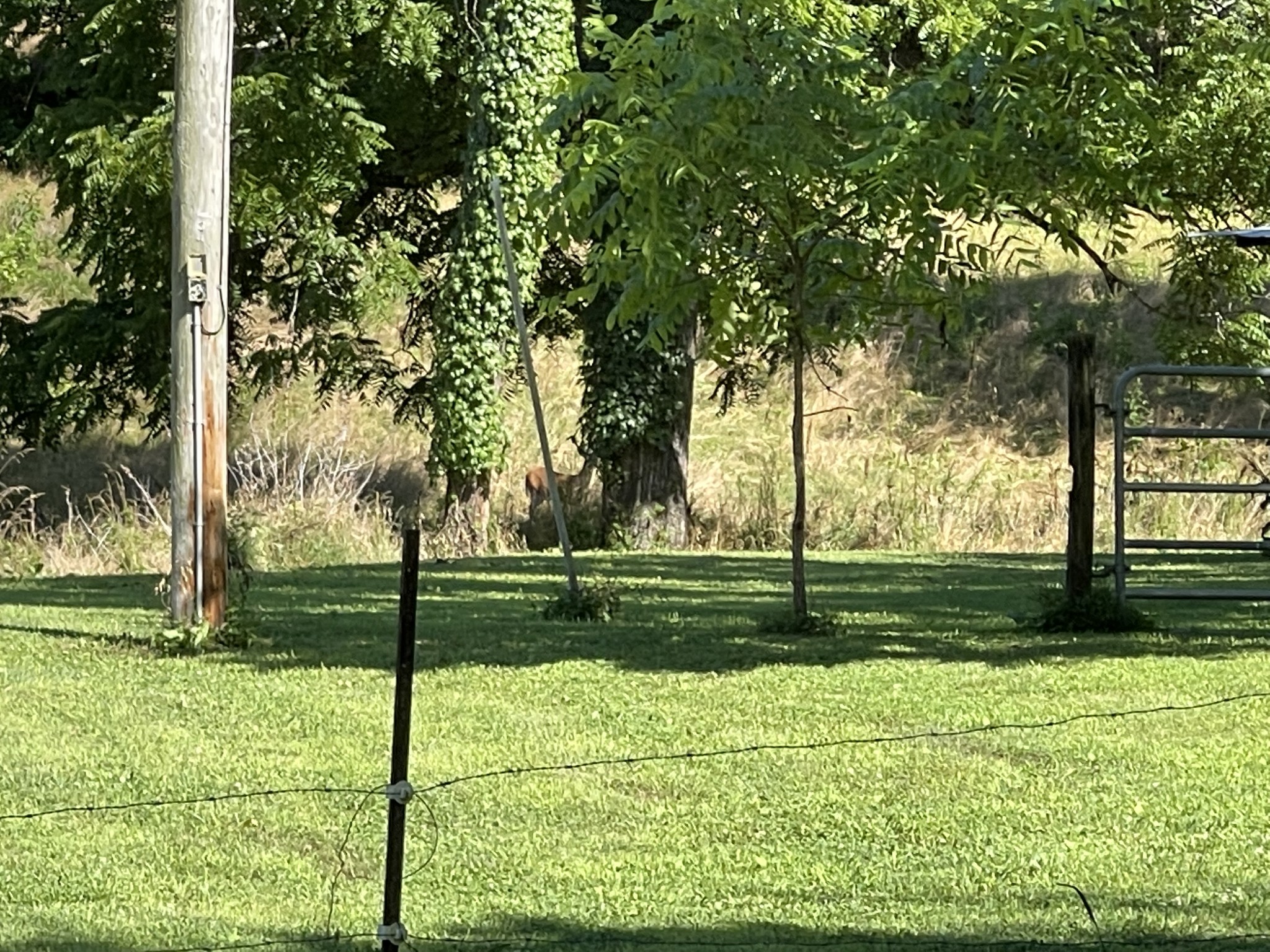 1102 Garner Hollow Road Pulaski, TN 38478 - Photo 41 of 41