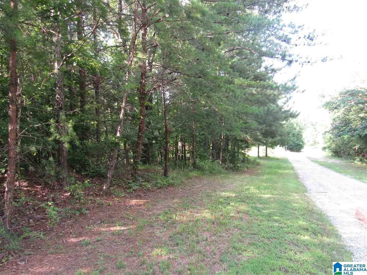 0 County Road 997, Unit 1 Clanton, AL 35045 - Photo 1 of 7