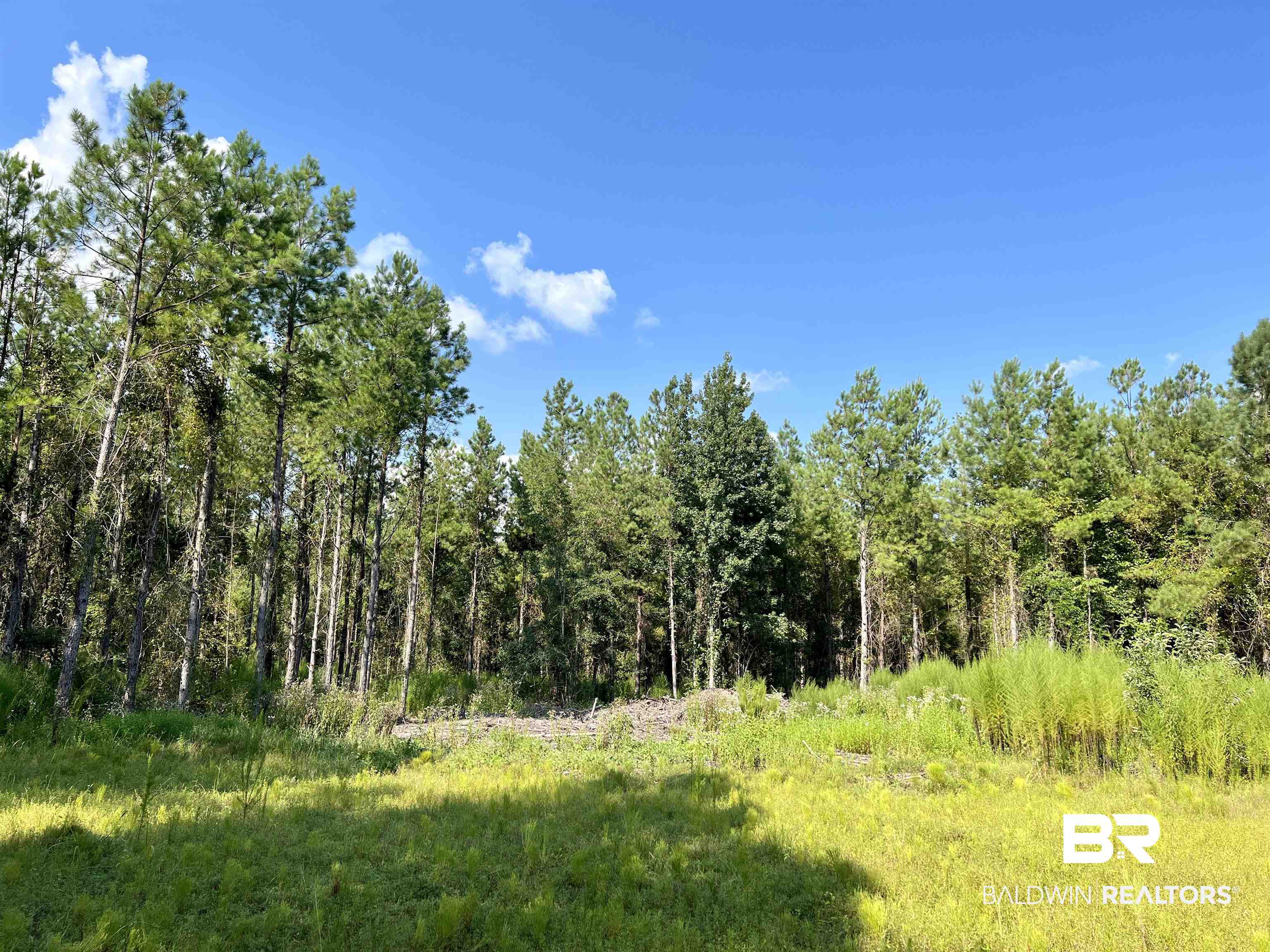 0 County Road 11 Repton, AL 36475 - Photo 8 of 34