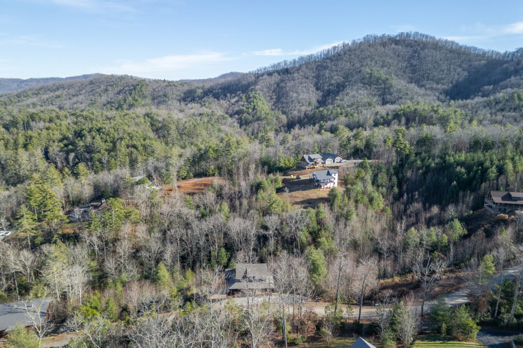 455 Point Overlook Trail Murphy, NC 28906 - Photo 54 of 56