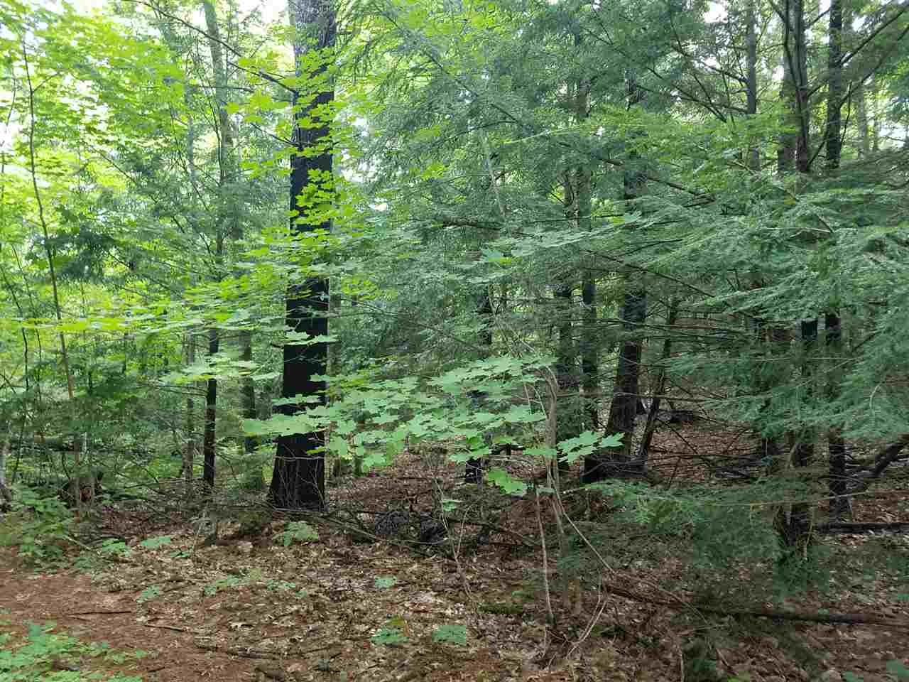 5 Cranberry Meadow Road, Unit 714 Sandown, NH 03873 - Photo 6 of 9 Gallery Image 6