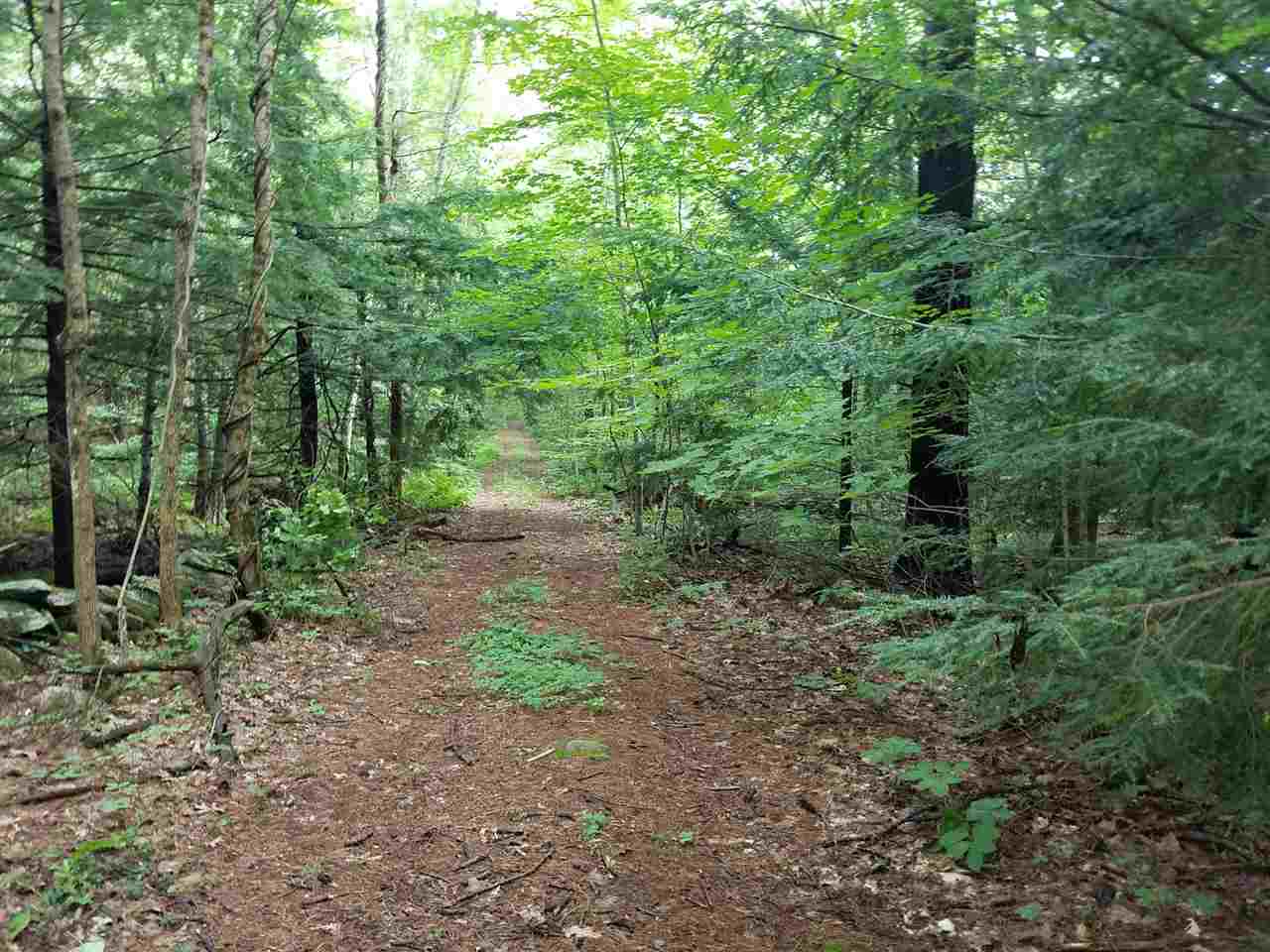 5 Cranberry Meadow Road, Unit 714 Sandown, NH 03873 - Photo 7 of 9 Gallery Image 7