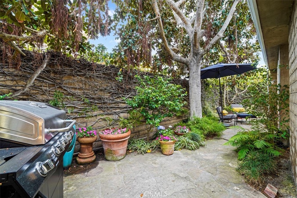 23802 Cassandra Bay Dana Point, CA 92629 - Photo 24 of 56 a view of a backyard with sitting area and garden