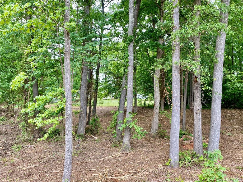 0 Newsome Road Salisbury, NC 28146 - Photo 1 of 4 Gallery Image 1