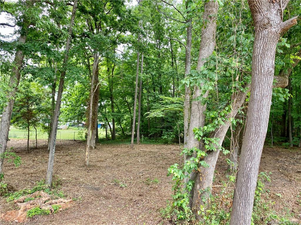 0 Newsome Road Salisbury, NC 28146 - Photo 2 of 4 Gallery Image 2