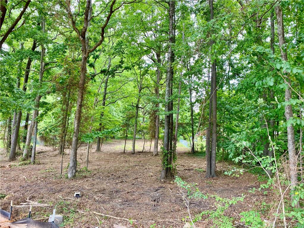 0 Newsome Road Salisbury, NC 28146 - Photo 3 of 4 Gallery Image 3