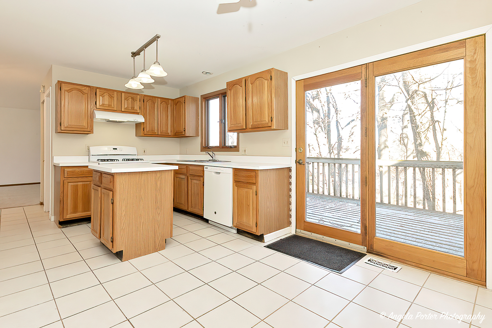 31 Troy Street Fox Lake, IL 60020 - Photo 5 of 21