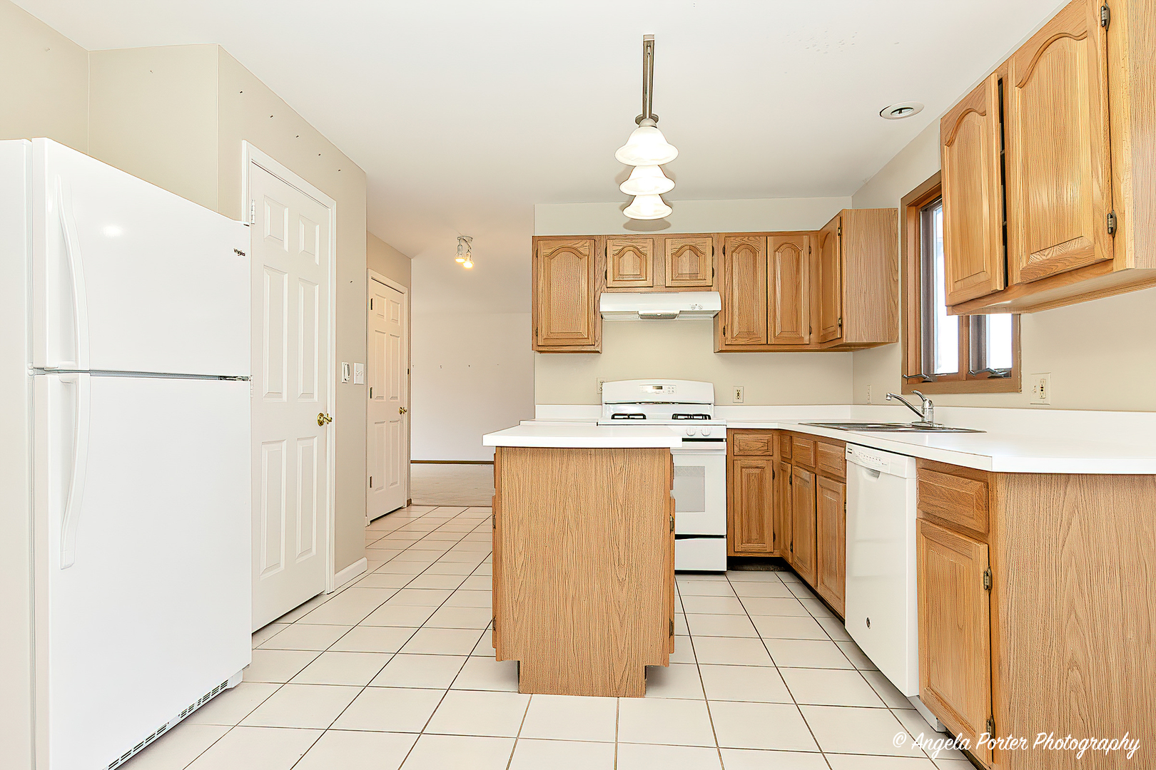 31 Troy Street Fox Lake, IL 60020 - Photo 7 of 21