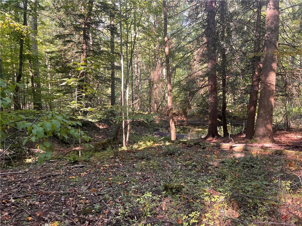 0 Rte 381 Rector Pa Rector, PA 15677 - Photo 11 of 21