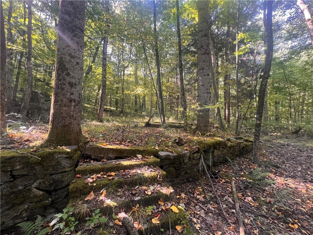 0 Rte 381 Rector Pa Rector, PA 15677 - Photo 12 of 21