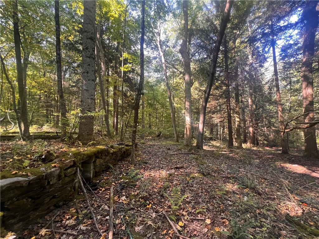 0 Rte 381 Rector Pa Rector, PA 15677 - Photo 13 of 21