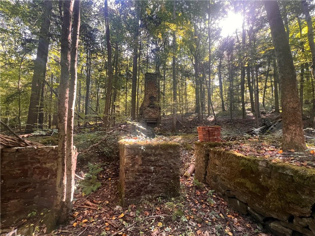 0 Rte 381 Rector Pa Rector, PA 15677 - Photo 14 of 21