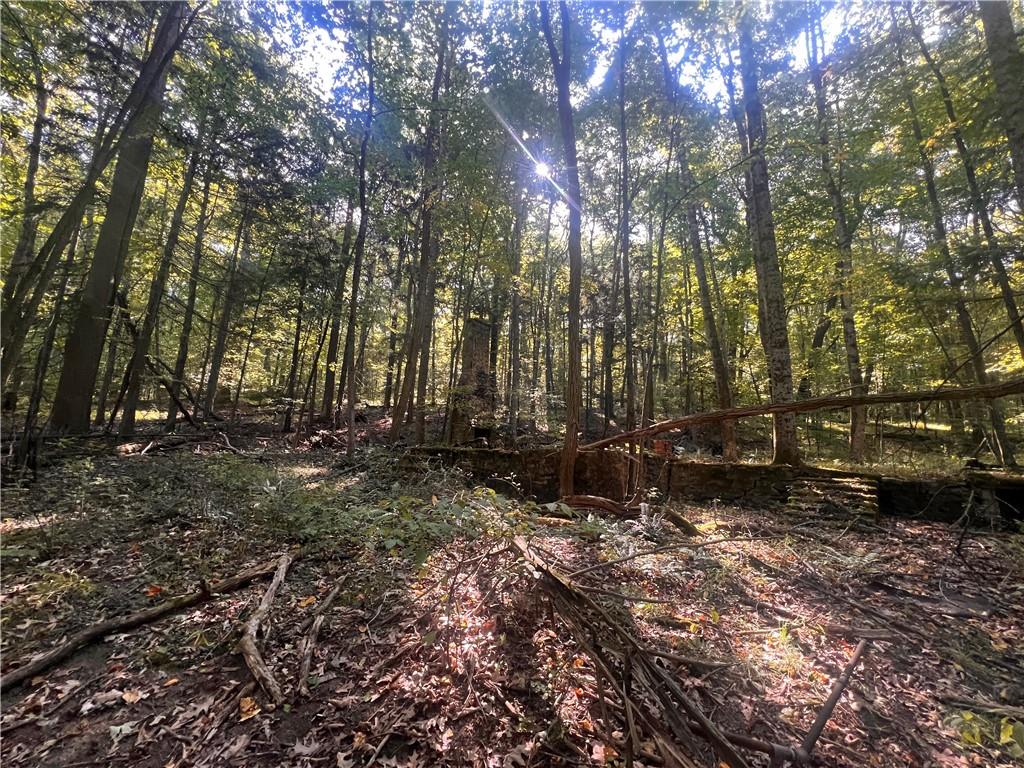 0 Rte 381 Rector Pa Rector, PA 15677 - Photo 15 of 21